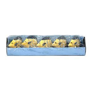 Tradewind Bay By The Shore Tropical Fish Tealight Candles 5-Pack For Home Decor